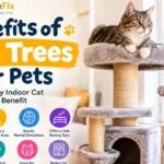 Benefits of Cat Trees for Pets