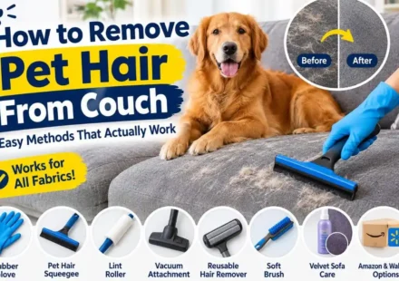 How to Remove Pet Hair From Couch