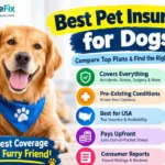 Best Pet Insurance for Dogs in the USA