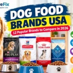 Dog Food Brands