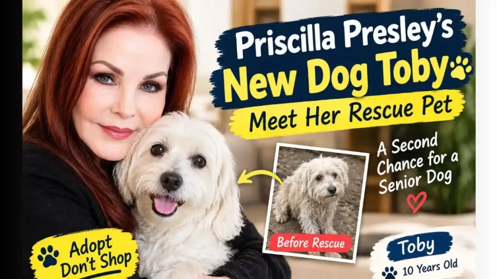 Priscilla Presley’s New Dog Toby