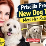 Priscilla Presley’s New Dog Toby