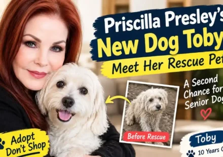 Priscilla Presley’s New Dog Toby