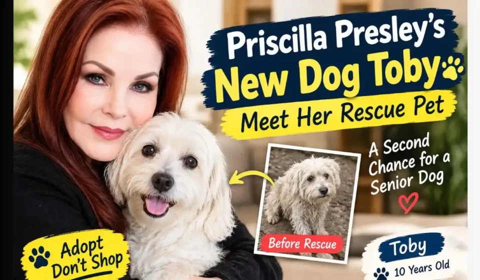 Priscilla Presley’s New Dog Toby